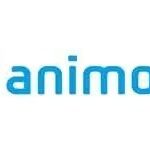 imgi 24 animoca